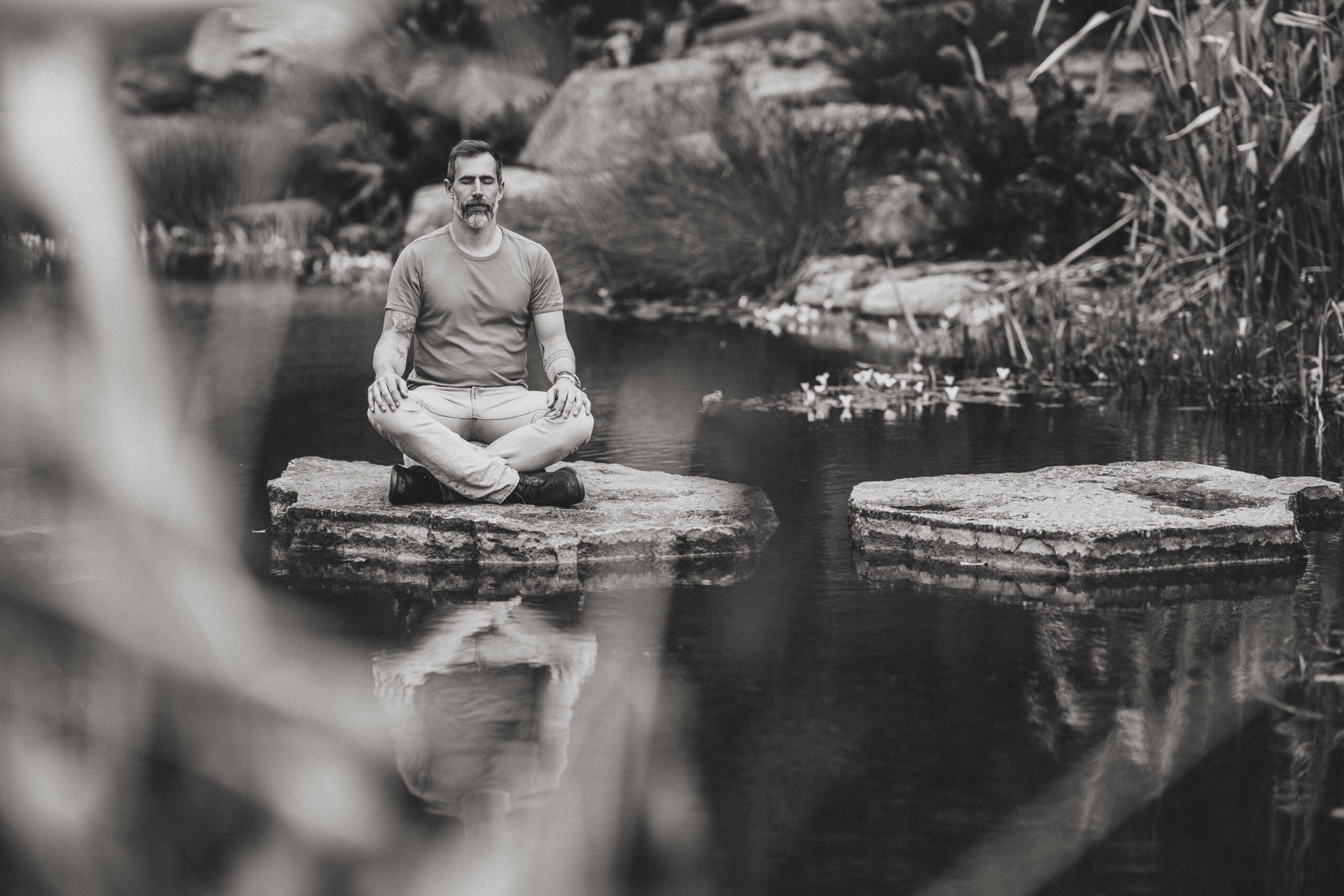 accueil site 4 en images FZ manuella aubin en image