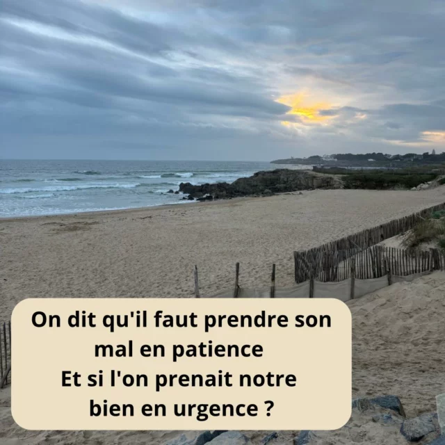 On s’habitue parfois à vivre avec des tensions, des peurs, de la charge mentale…
Comme si c’était normal.
Comme si on n’avait pas le choix.

Et pourtant, on peut choisir d’agir pour soi.
Pas dans 6 mois.
Pas quand ce sera « le bon moment ».

Maintenant.
Parce que le mieux-être n’attend pas.
Parce que prendre soin de soi, ce n’est pas égoïste, c’est responsable.

En préparation mentale, on apprend à ralentir pour avancer plus fort.
À écouter ce qu’on ressent, à comprendre ce qu’on traverse.

Et si ce post était votre déclic pour vous choisir ?

Contactez-moi pour faire le point.
Un premier échange, sans pression. Juste pour vous.

#PréparationMentale #ChoisirLeBien #PrendreSoinDeSoi #CoachingMental #SantéMentalePositive #UrgenceDeVivre #AccompagnementHumain #MentalPositif #CroissancePersonnelle #Mindset #stpmec